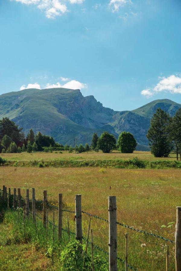 Vila Durmitor Nest Krstajic Žabljak Exterior foto
