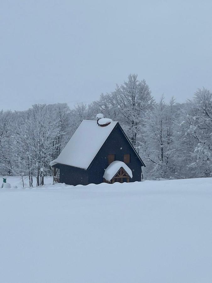 Vila Durmitor Nest Krstajic Žabljak Exterior foto